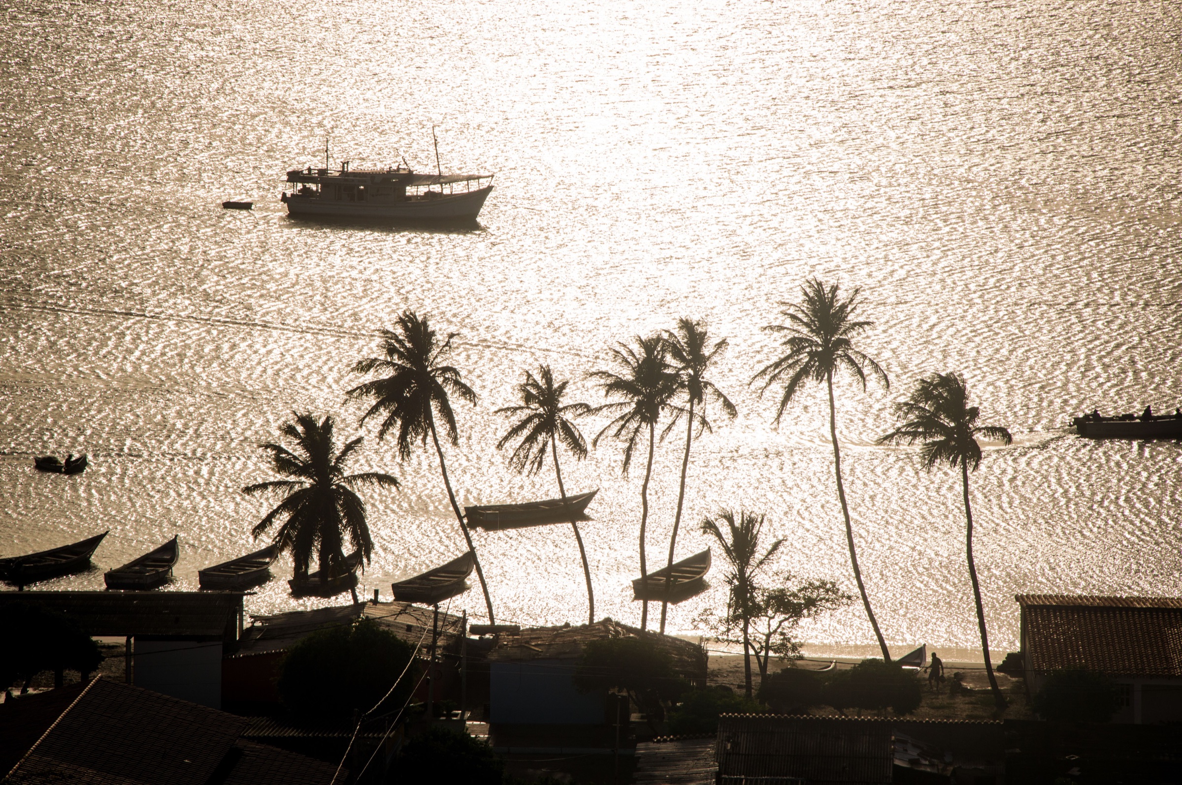 Boats and palms seen across the water in Bahia